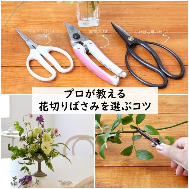 プロが教える☆花切りばさみを選ぶコツ
