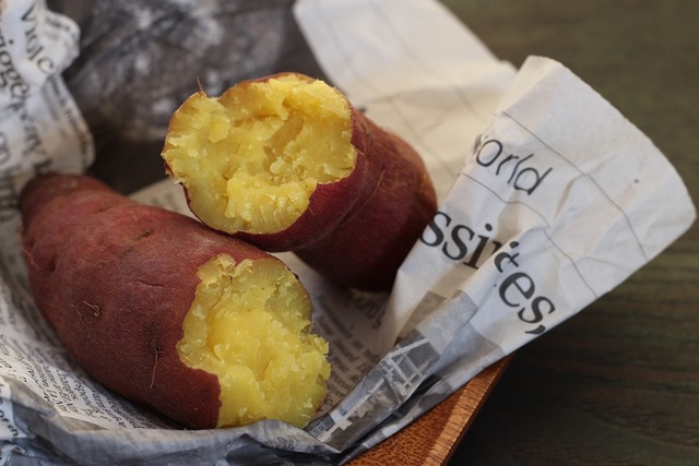 jtohshio_20161002_006