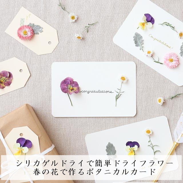 シリカゲルドライで簡単ドライフラワー♪ 春の花で作るボタニカルカード