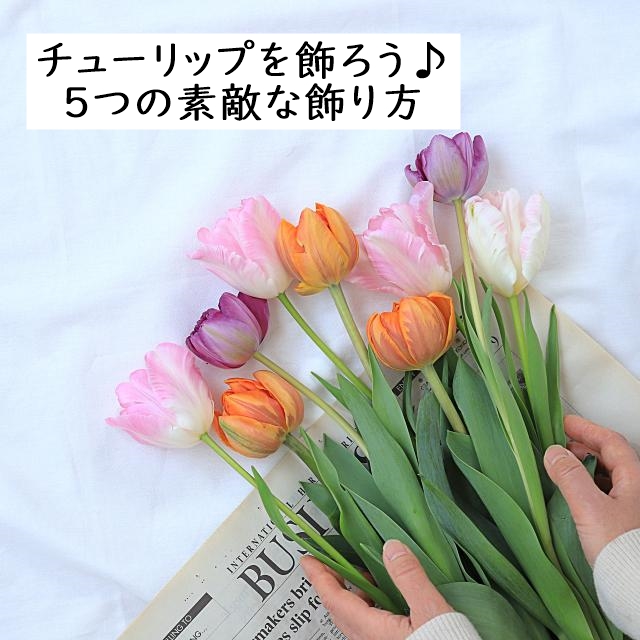 チューリップを飾ろう♡5つの素敵な飾り方
