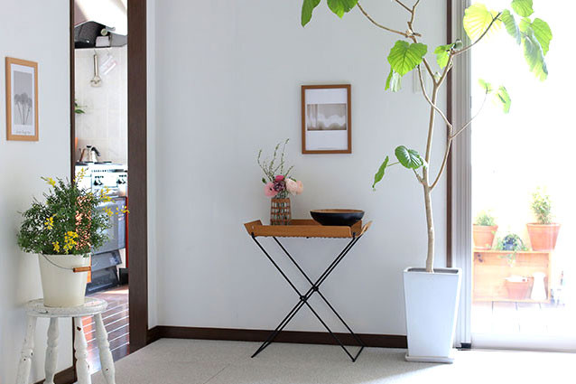 o0638042513901425519