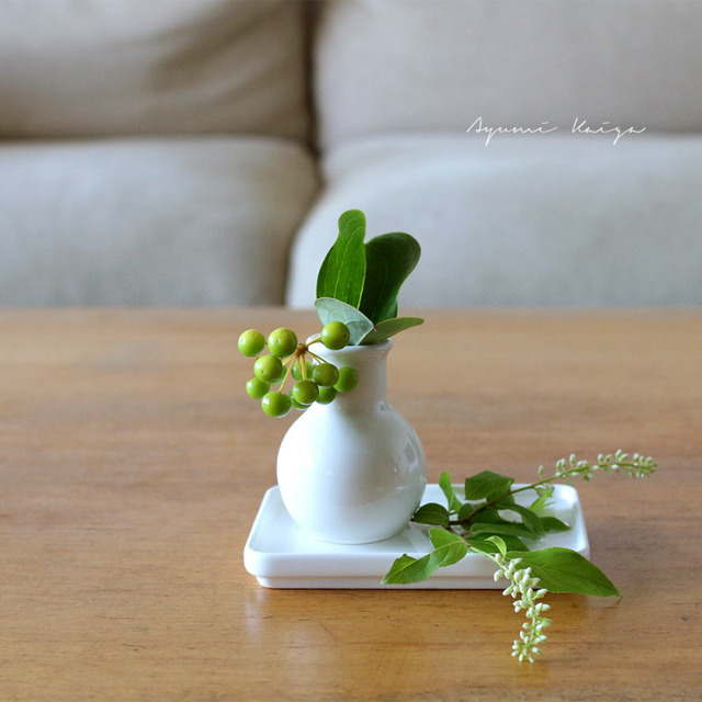 o1000100013941843043