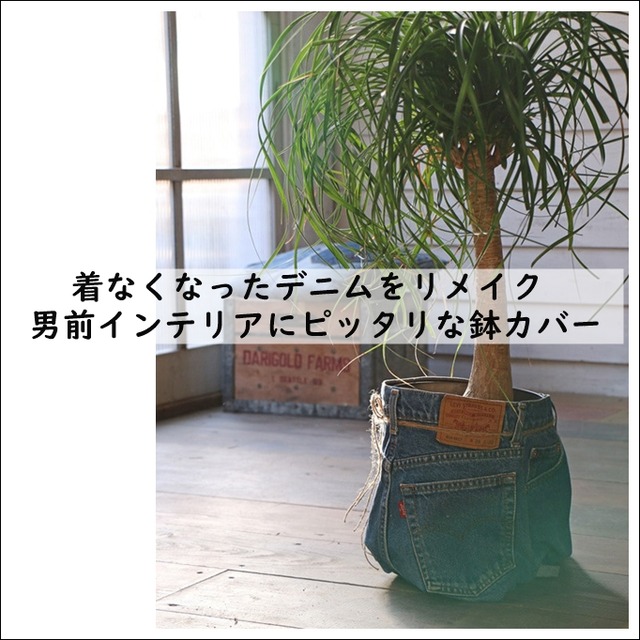 着なくなったデニムで簡単リメイク♪ 男前インテリアにピッタリな鉢カバー