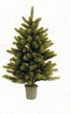 クリスマスツリー90cm　ヌードツリー　RS GLOBAL TRADE社（PLASTIFLOR社）【送料無料】