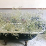 ★横浜山手西洋館「花と器のハーモニー2023」が素敵すぎる