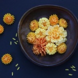 【９月９日】菊を楽しむ「重陽の節句」