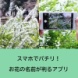 スマホでパチリ！1秒でお花の名前が判るアプリ「PictureThis」