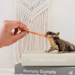 ★ペットも人間も美味しい♪ 簡単手作り鶏ささみジャーキーの作り方