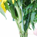 【父の日】子供と一緒に作る！そのまま飾れるブーケ