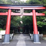 【９月９日】菊を楽しむ「重陽の節句」