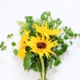 【父の日】子供と一緒に作る！そのまま飾れるブーケ