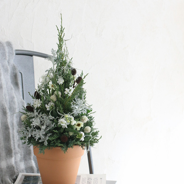 花代0円！今からでも♪クリスマスツリーを庭花アレンジでつくりませんか？