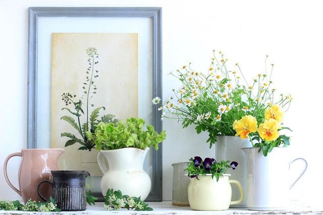 意外と簡単♪ピッチャーで楽しむ花のアレンジ