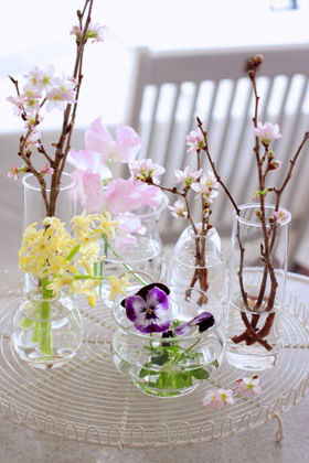 気負わず、伸びやかに。春の枝を飾ろう