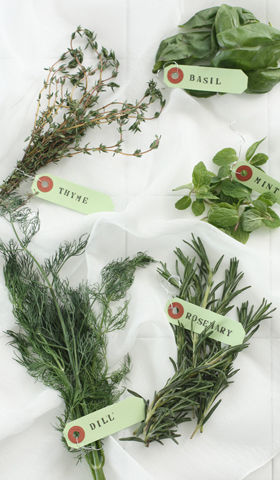 ハーブを入れて凍らせるだけ！手軽で超お洒落な氷