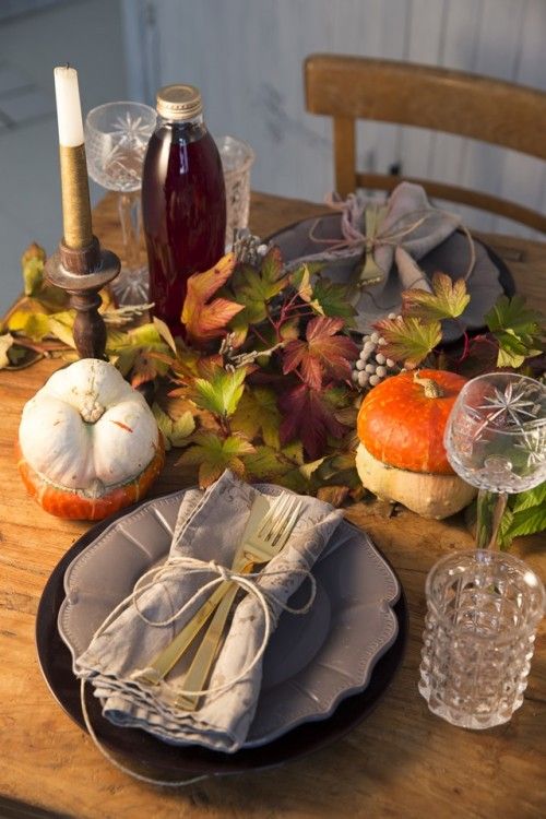 今年の新種・ハロウィンにぴったりのかぼちゃ見つけました