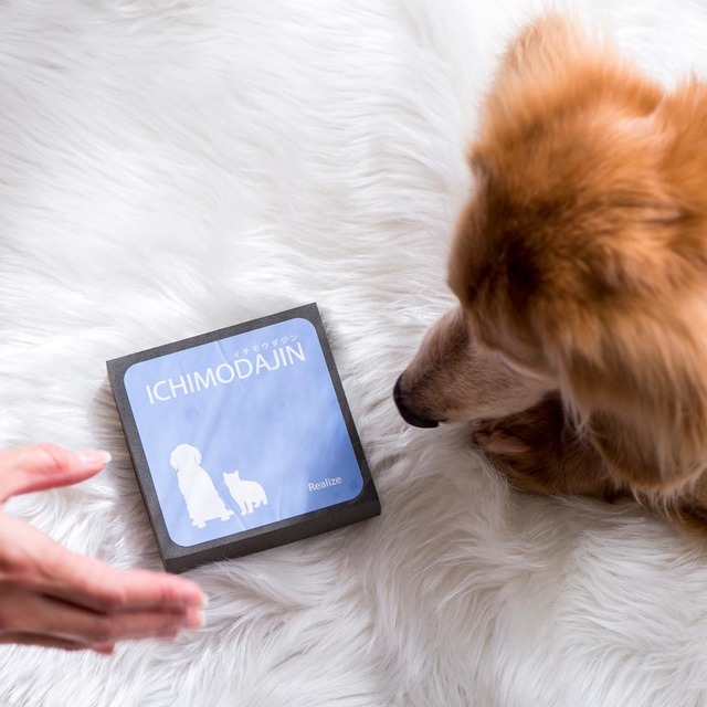 ペットの抜け毛のお悩みを解消！ ランニングコスト０円の便利グッズ