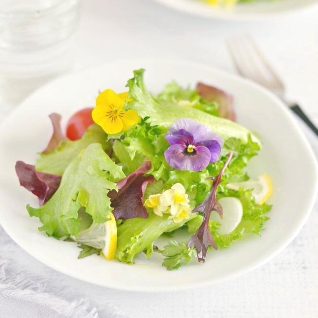 可愛くて美味しい！ プランター栽培のエディブルフラワー♪