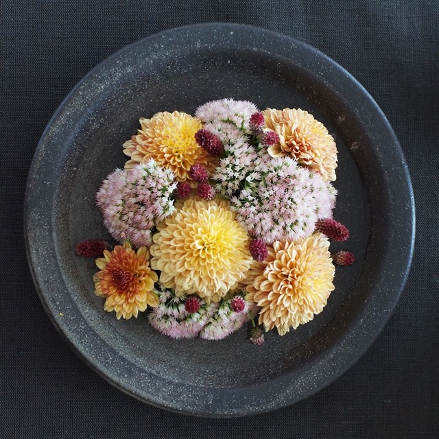 【秋の花色配色】オレンジ＆茶色　重陽の節句！ 身近な食器を使った簡単アレンジ