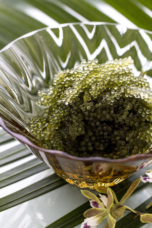 沖縄で新発見！　海ぶどうの新しい食べ方