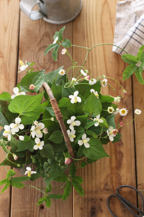 えっ！これがドクダミ？　庭花＆草花でナチュラルなアレンジに仕上げました♪