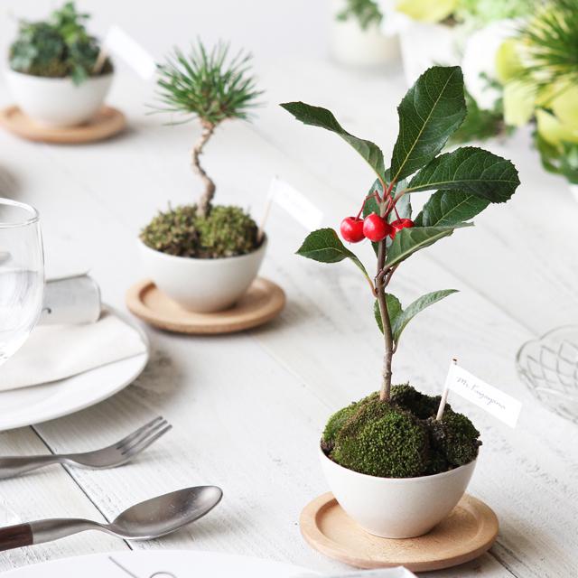 花嫁DIY♪ 初心者でも簡単に作れるミニ盆栽の席札＆プチギフト