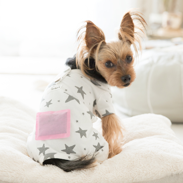 おうちのワンコさんの肉球冷たくないですか？　それ、冷えかも。カイロでかんたん対策