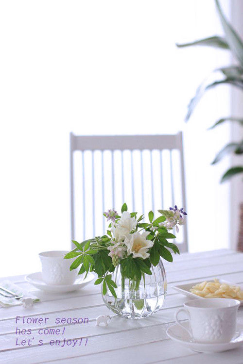 さささっと投げ入れ、春の花をいけましょう