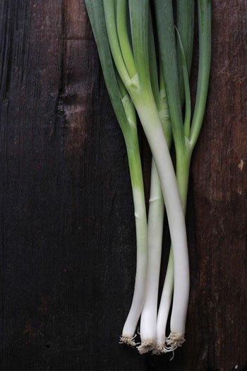 材料は２つだけ！夏バテ対策にネギの酢漬け