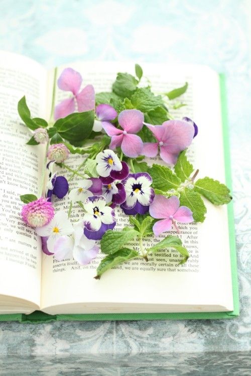 窪田千紘の「幸せの法則」　～　女性が働きやすい環境とは？