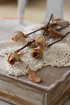 少ない水でＯＫ。ブロカント風ドライフラワー