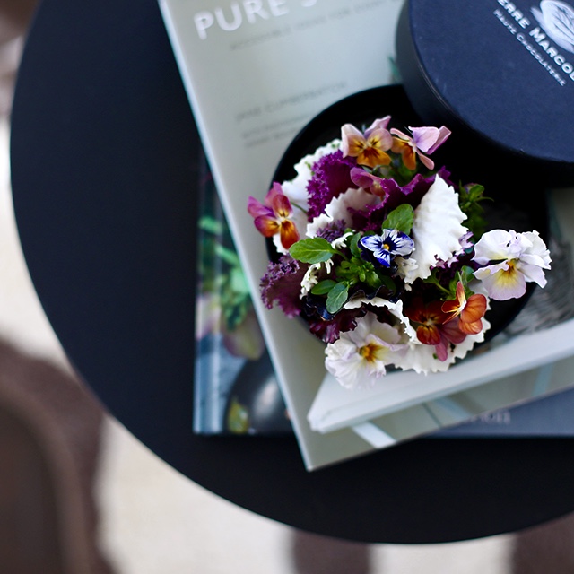 【庭摘みの花】家の中で葉牡丹を楽しむ方法