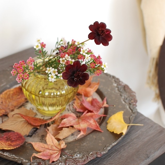 紅葉の落ち葉と飾る、こっくりカラーの秋の花　～　深まる秋のデイリーフラワー