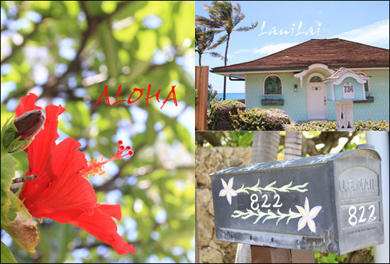 アラフォー人気のハワイ時間