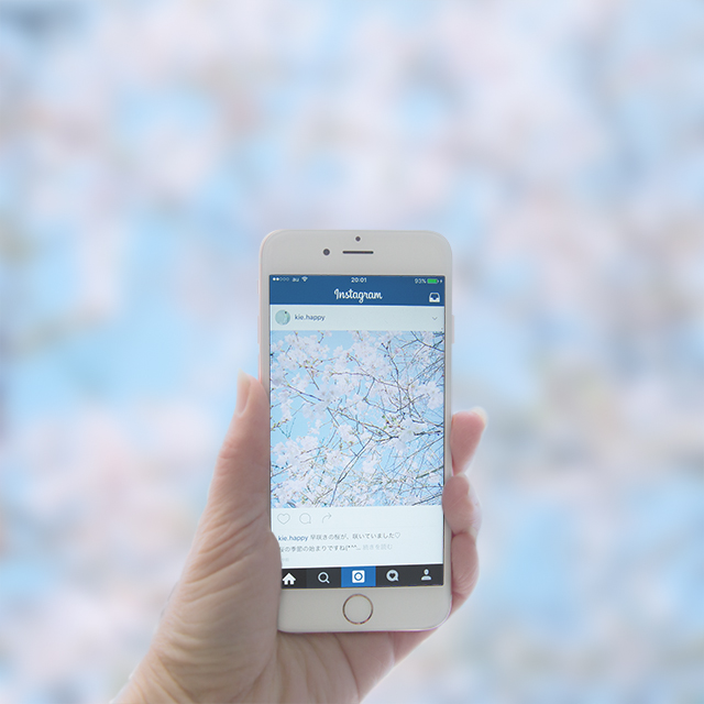 iPhoneカメラで、桜を撮ろう！ 桜のゆるかわ写真を撮る方法