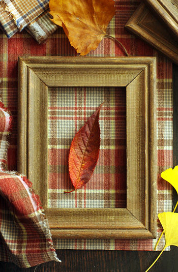 時間の経過を楽しむ、落ち葉のアートフレーム