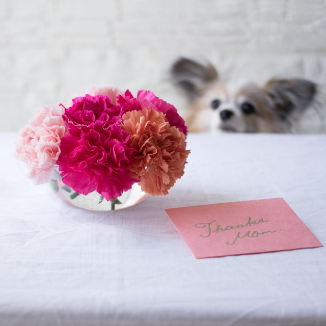わんこはカーネーションNG？！  母の日はボウルブーケが安心