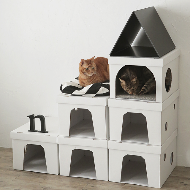 ダンボール箱で作ろう！　猫が喜ぶ3階建てハウスの作り方