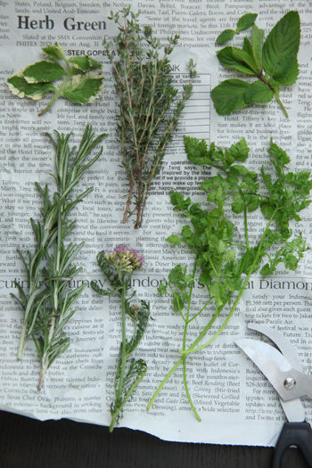 パウダーに、パックに、ソルトに！粉末ハーブが大活躍