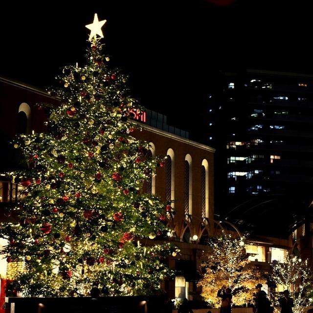 世界最大の輝きを恵比寿で。バカラのシャンデリアイルミネーション3つのおすすめ撮影スポット