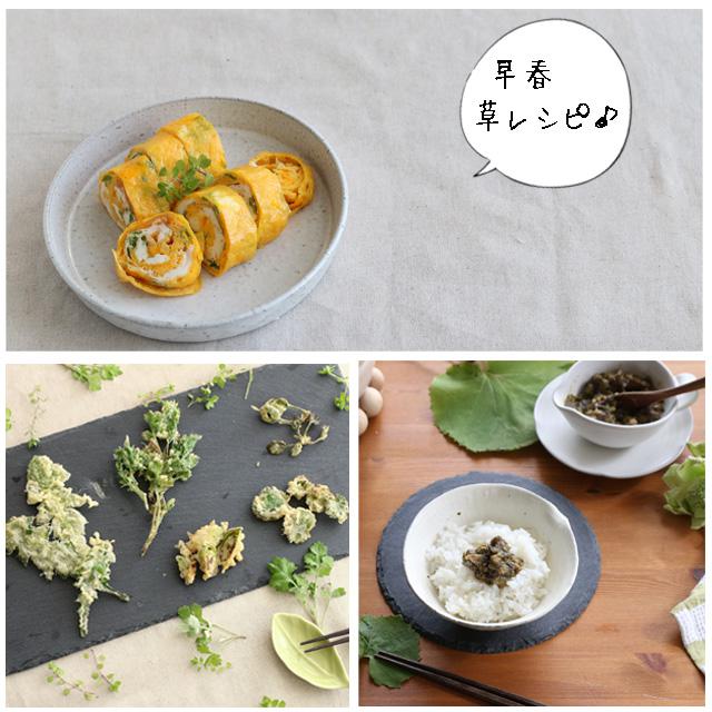 [美味しい雑草：早春編]　庭草のごちそうレシピ　3選