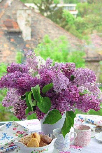 ライラック（英名）＝リラ（仏名）が花咲く素敵な季節