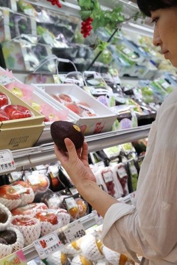 大人にしか解らない？　ちょっと贅沢な秋のピクニック