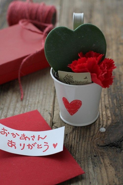 母の日の贈り物に♪　ハート形の観葉植物はいかが？