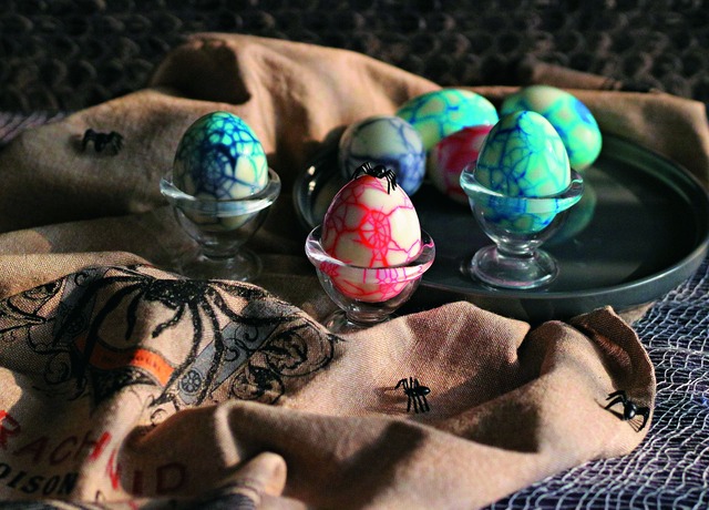 蜘蛛の巣タマゴ　MG_0732★