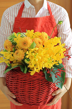 秋です！Let's　オーキッド！