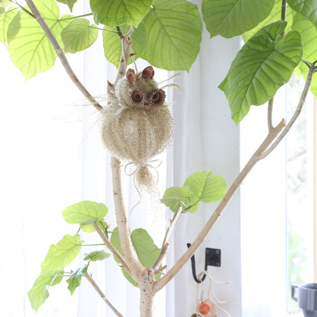 自然と遊ぶ♪　ススキで作る　縁起物フクロウ（ミミズク）の作り方