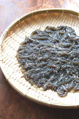 神戸に春を呼ぶいかなご