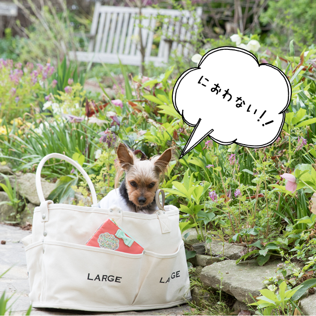 この3つがあれば大丈夫。ワンコとのお出かけの気になる臭いを解決‼