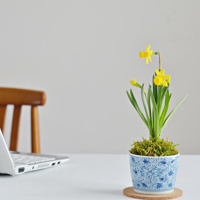 ひとつで何役もこなす?!  便利な蕎麦猪口の使い方